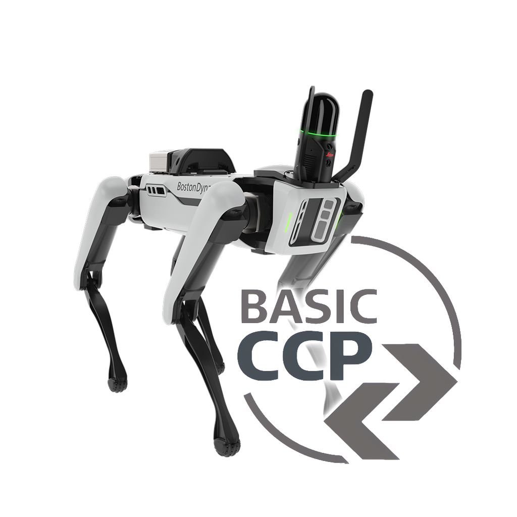 6017345 - 1 yr BLK ARC Laser Scanner CCP Basic