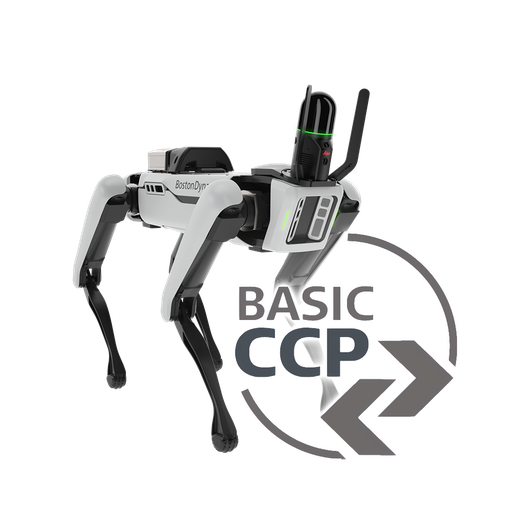 6017347 - BLK ARC Laser Scanner CCP Basic 3 anni