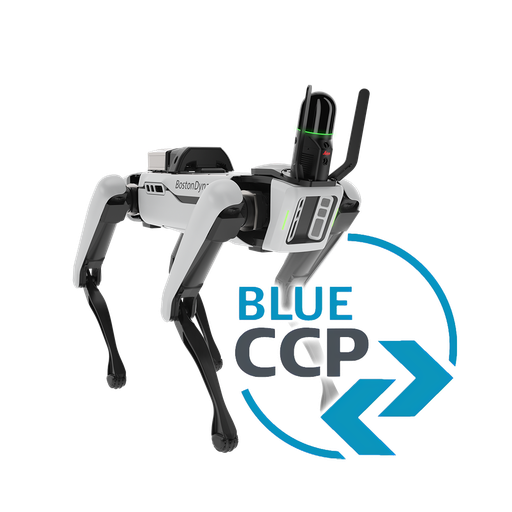 6017350 - BLK ARC Laser Scanner CCP Blue 2 anni