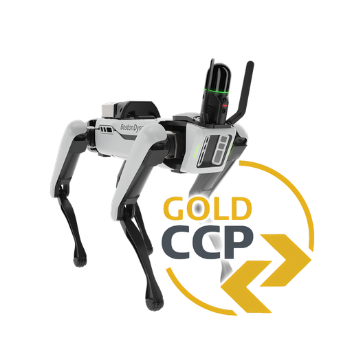 6017365 - BLK ARC Laser Scanner CCP Gold 5 anni